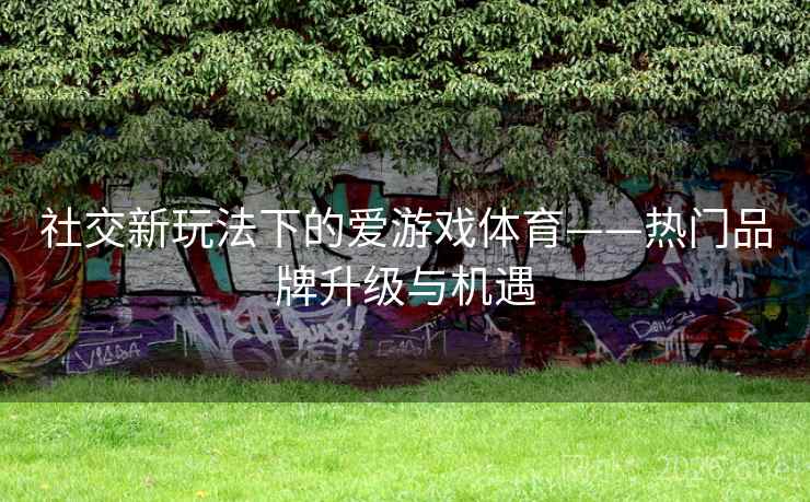 社交新玩法下的爱游戏体育——热门品牌升级与机遇