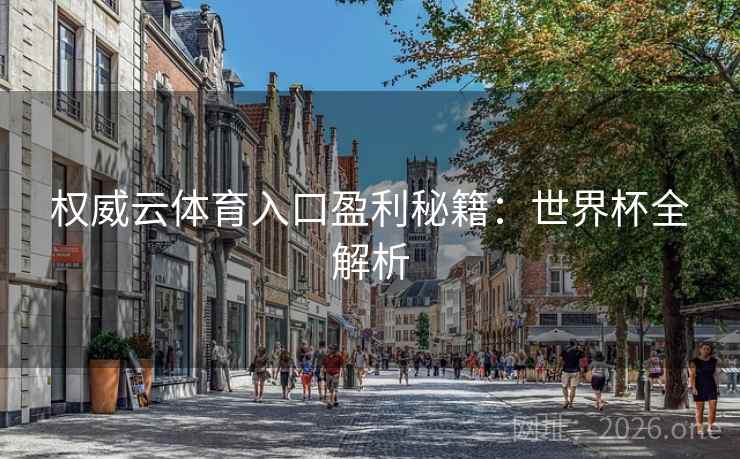 权威云体育入口盈利秘籍：世界杯全解析
