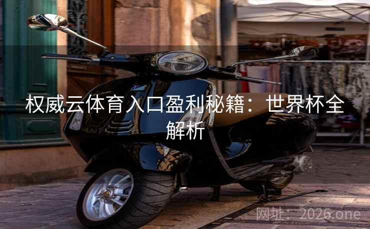 权威云体育入口盈利秘籍：世界杯全解析