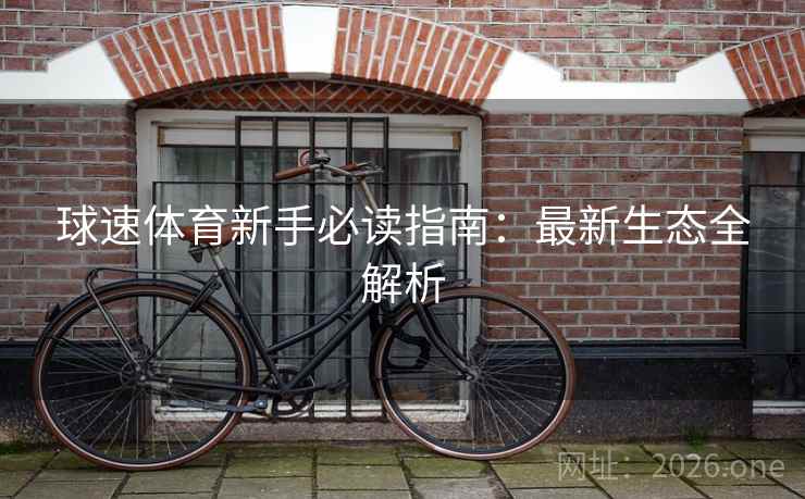球速体育新手必读指南：最新生态全解析