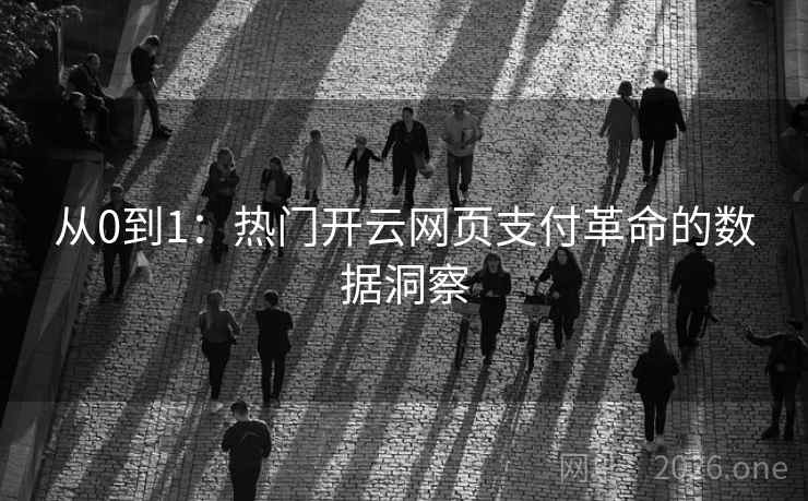 从0到1：热门开云网页支付革命的数据洞察