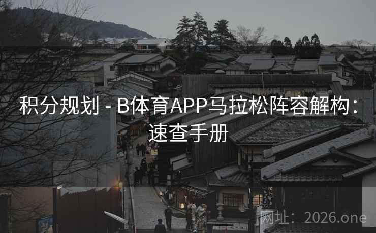 积分规划 - B体育APP马拉松阵容解构：速查手册