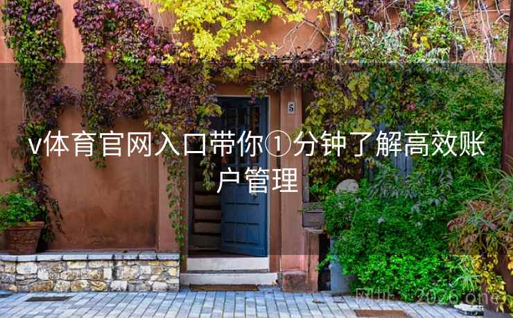 v体育官网入口带你①分钟了解高效账户管理