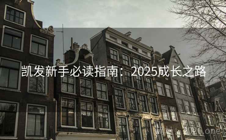 凯发新手必读指南:2025成长之路