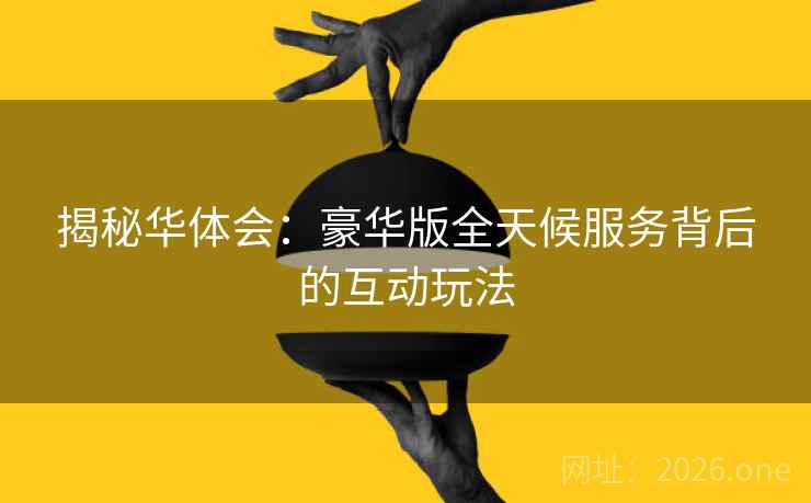 揭秘华体会：豪华版全天候服务背后的互动玩法