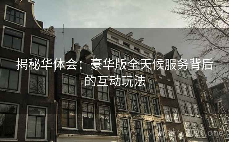 揭秘华体会：豪华版全天候服务背后的互动玩法