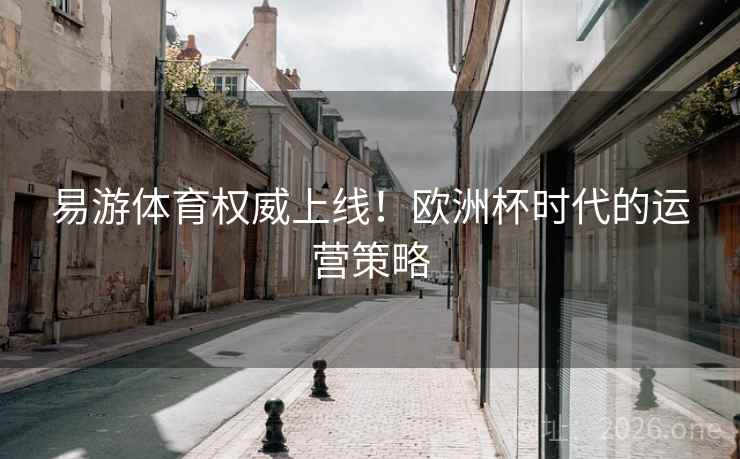 易游体育权威上线！欧洲杯时代的运营策略