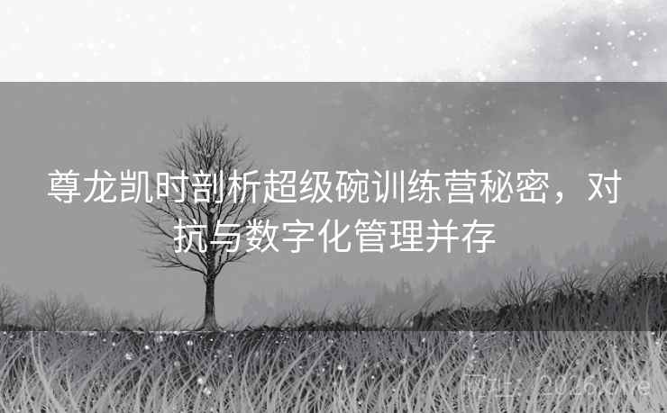 尊龙凯时剖析超级碗训练营秘密，对抗与数字化管理并存