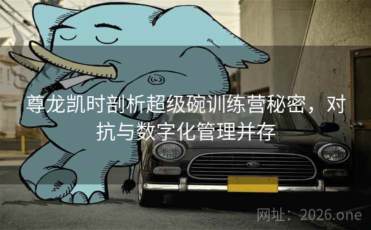 尊龙凯时剖析超级碗训练营秘密，对抗与数字化管理并存