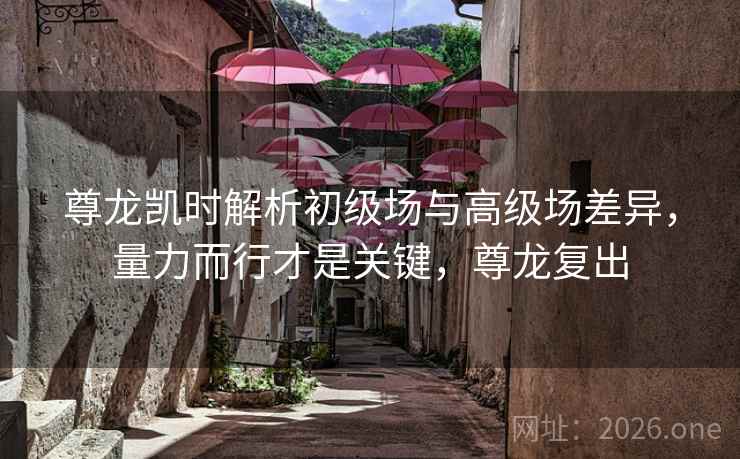 尊龙凯时解析初级场与高级场差异，量力而行才是关键，尊龙复出