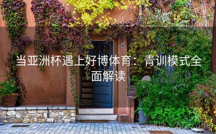 当亚洲杯遇上好博体育：青训模式全面解读