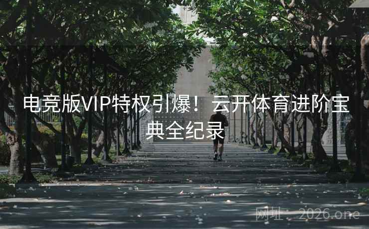 电竞版VIP特权引爆！云开体育进阶宝典全纪录