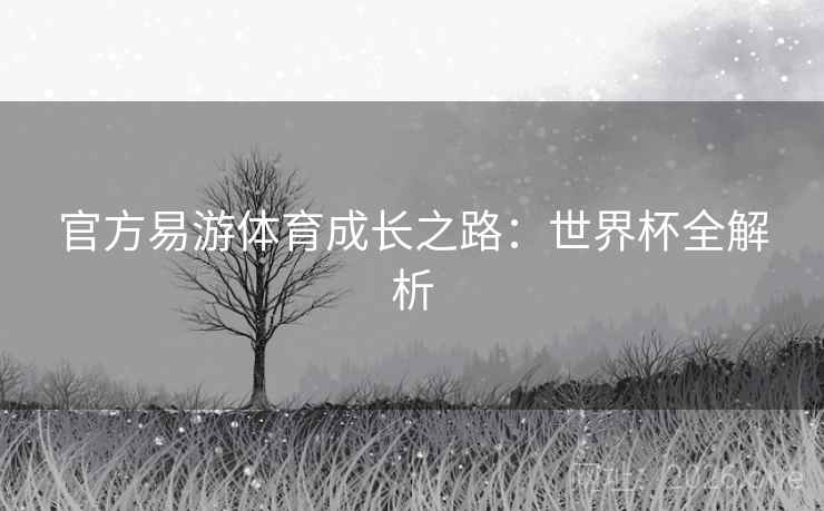 官方易游体育成长之路：世界杯全解析
