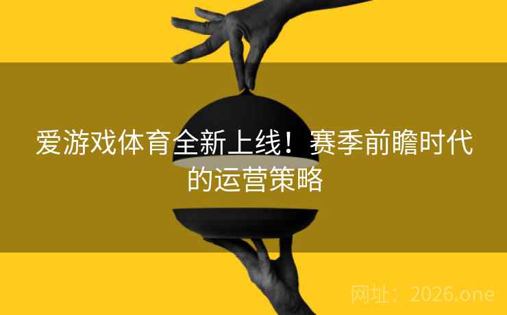 爱游戏体育全新上线！赛季前瞻时代的运营策略