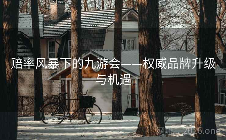 赔率风暴下的九游会——权威品牌升级与机遇