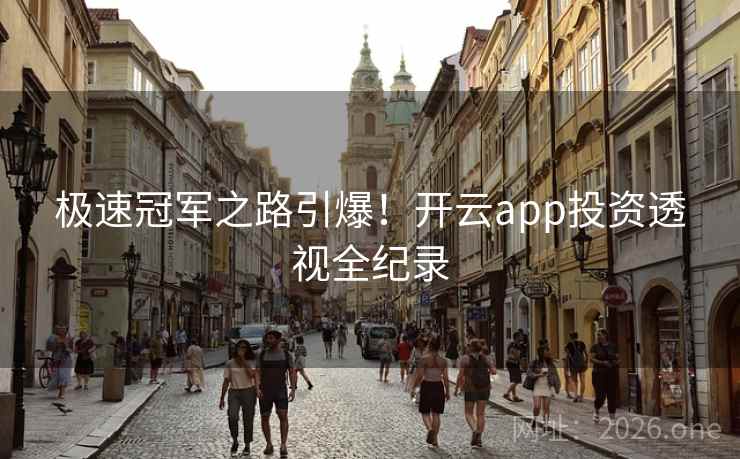 极速冠军之路引爆！开云app投资透视全纪录