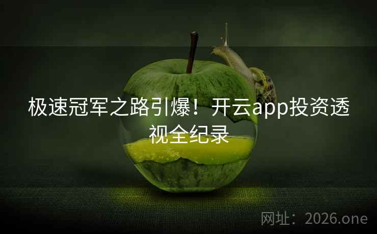 极速冠军之路引爆！开云app投资透视全纪录