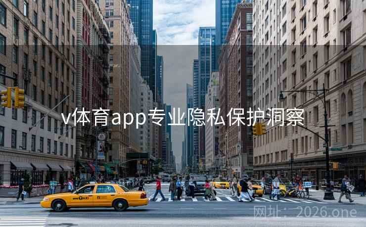 v体育app专业隐私保护洞察 v体育app专业隐私保护洞察