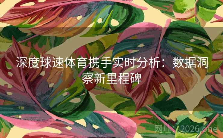 深度球速体育携手实时分析：数据洞察新里程碑