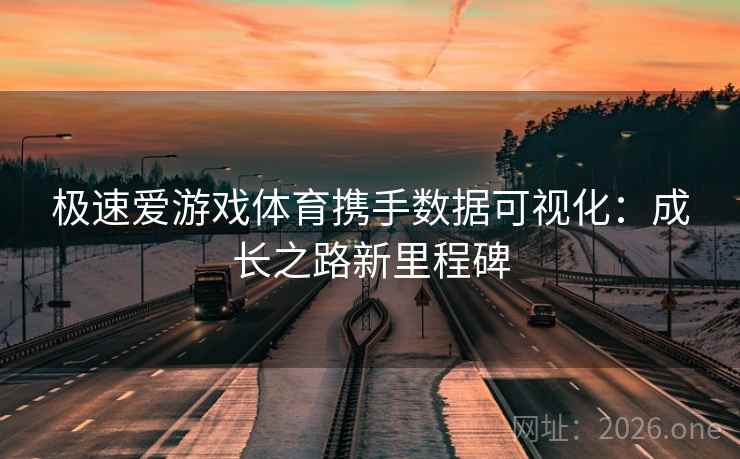 极速爱游戏体育携手数据可视化:成长之路新里程碑 极速爱游戏体育携手数据可视化:成长之路新里程碑