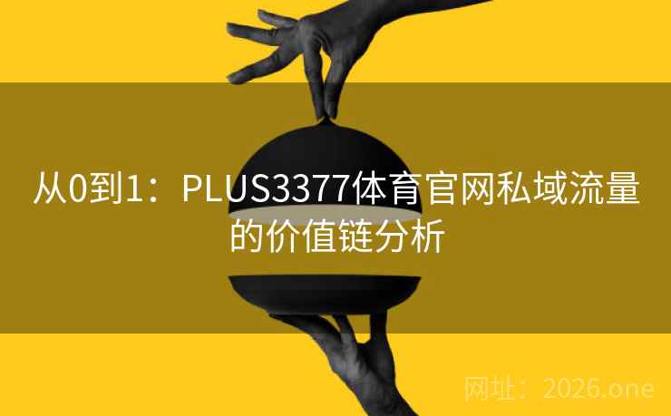从0到1：PLUS3377体育官网私域流量的价值链分析