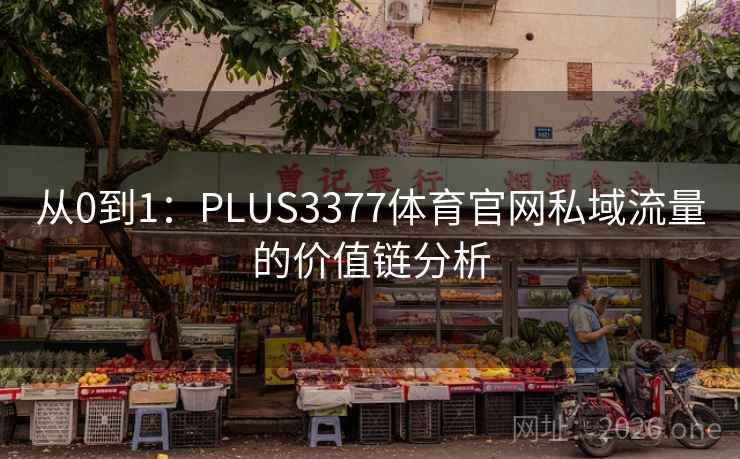 从0到1：PLUS3377体育官网私域流量的价值链分析
